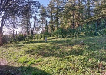 Loft via fonte antese snc, Radicofani - photo 10