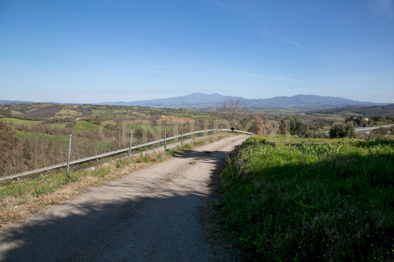 Portion of a house Podere Santa Rosalia 25, Civitella Paganico - photo 2