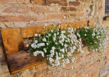 Terratetto - Terracielo Via Volterra 20, Cinigiano - foto 19