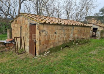 Casale Civitella Paganico - photo 22