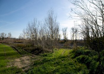 Casale Civitella Paganico - photo 23