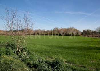 Casale Civitella Paganico - photo 24