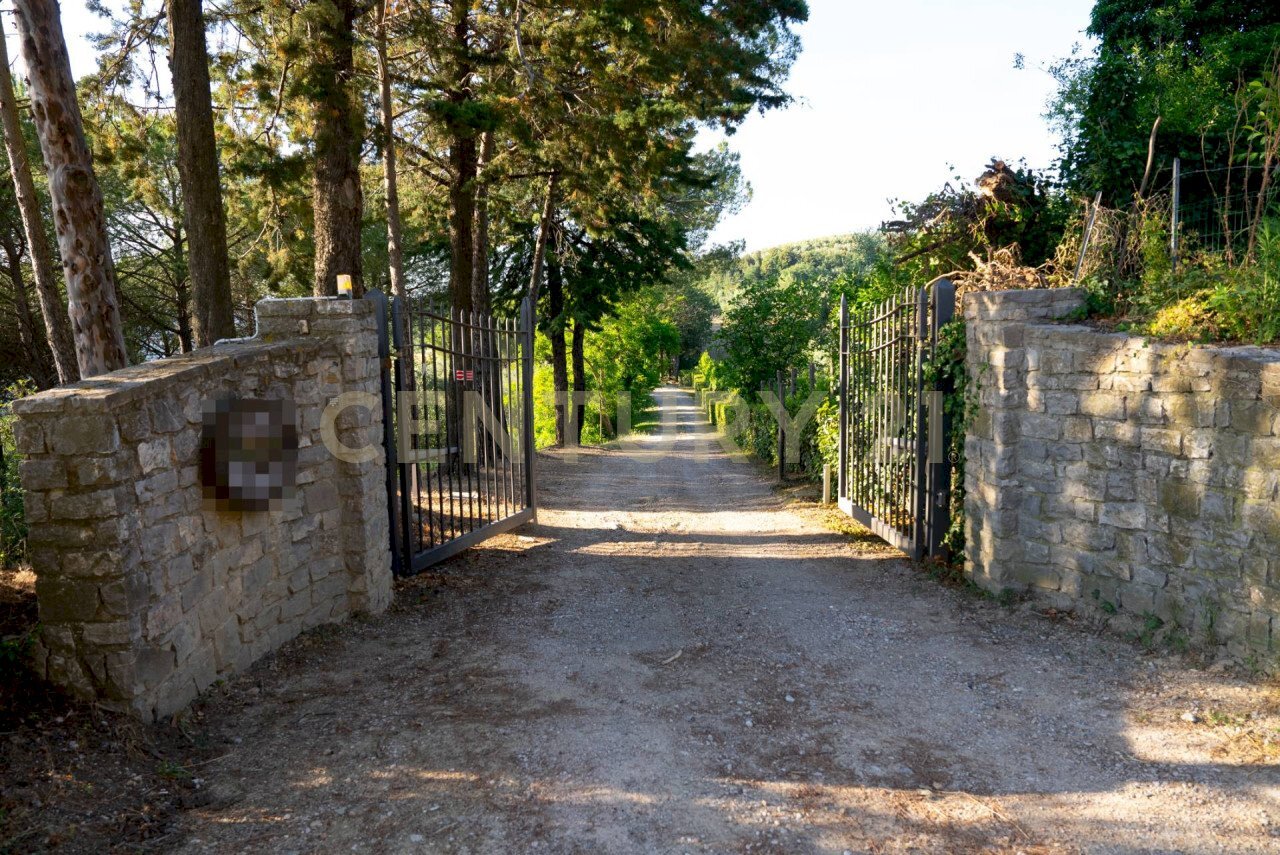 Casale Cinigiano - photo 2