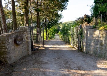 Casale Cinigiano - foto 2