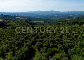 Casale Cinigiano - foto 12