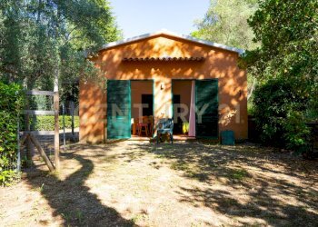 Casale Cinigiano - foto 30