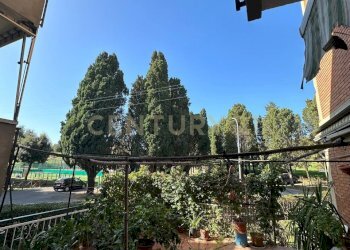 Appartamento Scansano - foto 4