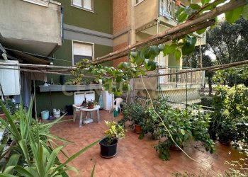 Appartamento Scansano - foto 5