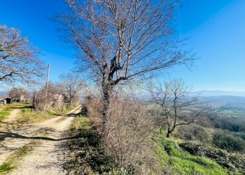 Casa indipendente località podere pelacane snc, Cinigiano - foto 2