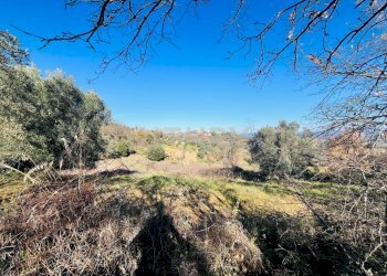 Casa indipendente località podere pelacane snc, Cinigiano - foto 5