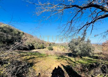Casa indipendente località podere pelacane snc, Cinigiano - foto 6