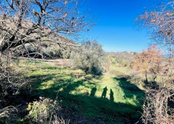 Casa indipendente località podere pelacane snc, Cinigiano - foto 7