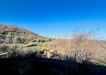 Casa indipendente località podere pelacane snc, Cinigiano - foto 19