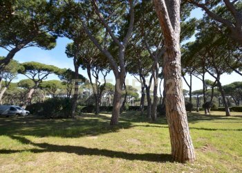 Quadrilocale Castiglione della Pescaia - foto 9