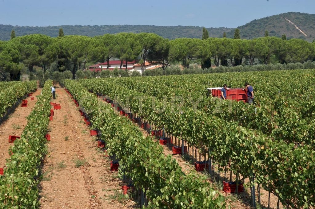 Casale Grosseto - foto 1