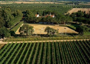 Casale Grosseto - foto 2