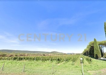 Casale Grosseto - foto 7