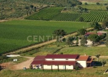 Casale Grosseto - foto 8