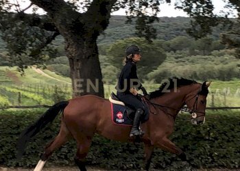 Casale Grosseto - foto 12