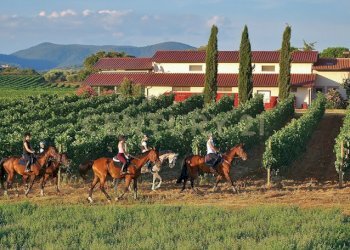 Casale Grosseto - foto 13