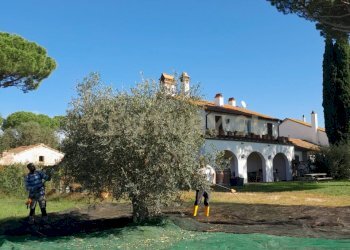 Casale Grosseto - foto 14