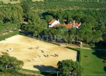 Casale Grosseto - foto 15