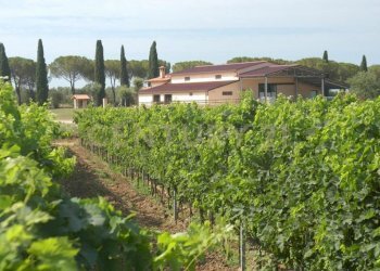 Casale Grosseto - foto 24