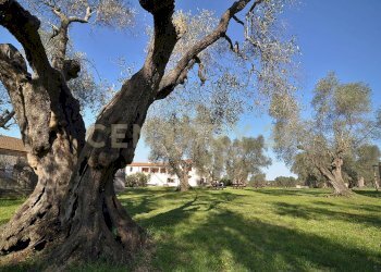 Casale Grosseto - foto 26