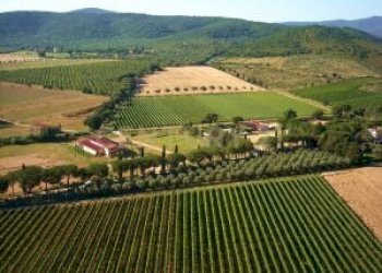 Casale Grosseto - foto 27