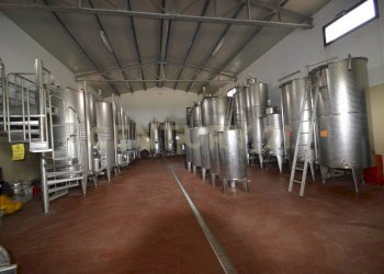 Casale Grosseto - foto 28