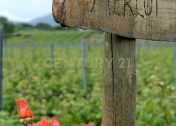 Casale Grosseto - foto 30