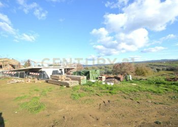 Casa indipendente Magliano in Toscana - foto 7