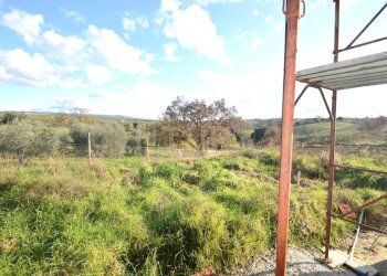 Casa indipendente Magliano in Toscana - foto 23