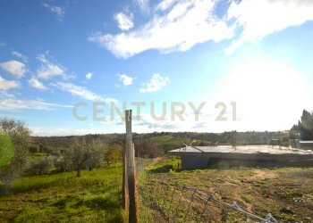 Casa indipendente Magliano in Toscana - foto 27