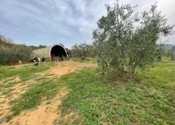 20240514184512-858943-4.jpg - Villa Strada del Priorato, Orbetello - foto 10