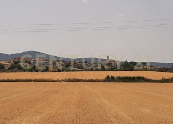 20220809185533-688653-6.jpg - Appartamento Piazza Silone Ignazio 29, Capalbio - foto 4