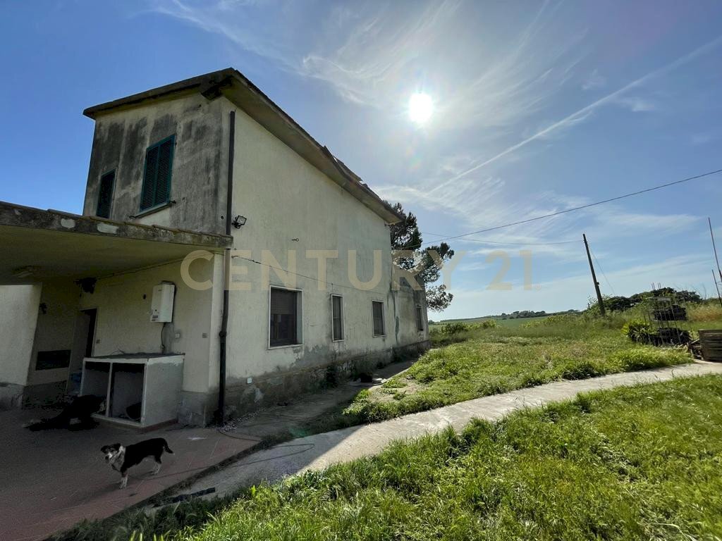 2022120293753-716358-4.jpeg - Casale Via del Molinaccio 10, Magliano in Toscana - foto 3