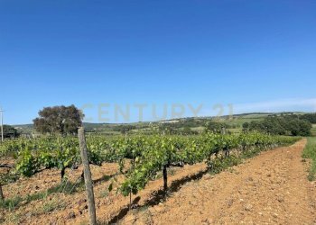 2022120293753-716358-3.jpeg - Casale Via del Molinaccio 10, Magliano in Toscana - foto 2