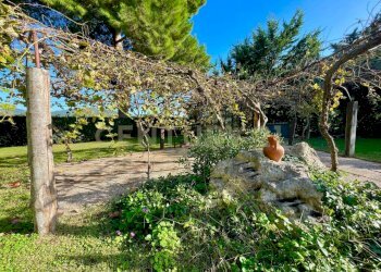 20230522160728-759766-23.jpeg - Casale Strada Vicinale dei Pinalti 14, Orbetello - foto 4