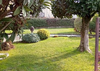 IMG_20260126_121302.jpg - Villa VIA BRODOLINI 1, Martignana di Po - foto 6