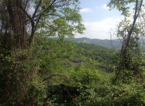 Agricultural land via di Casaglia, Bologna (neighborhood Colli) - photo 1