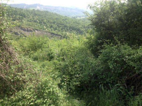 Agricultural land via di Casaglia, Bologna (neighborhood Colli) - photo 2