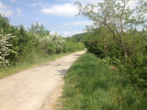 Agricultural land via di Casaglia, Bologna (neighborhood Colli) - photo 3