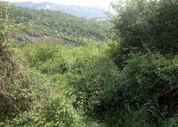Terreno agricolo via di Casaglia, Bologna (zona Colli) - foto 2