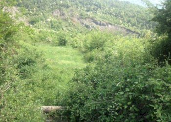Terreno agricolo via di Casaglia, Bologna (zona Colli) - foto 4