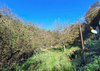 Independent house SS64, snc, Isolabona - photo 15