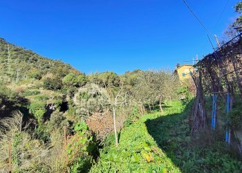 Independent house SS64, snc, Isolabona - photo 18