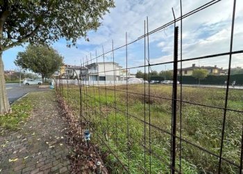 Terreno edificabile Castelnuovo Rangone - foto 4