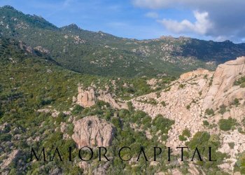 Terreno agricolo VIA LU PINU, Calangianus - foto 6