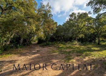 Terreno agricolo VIA LU PINU, Calangianus - foto 8